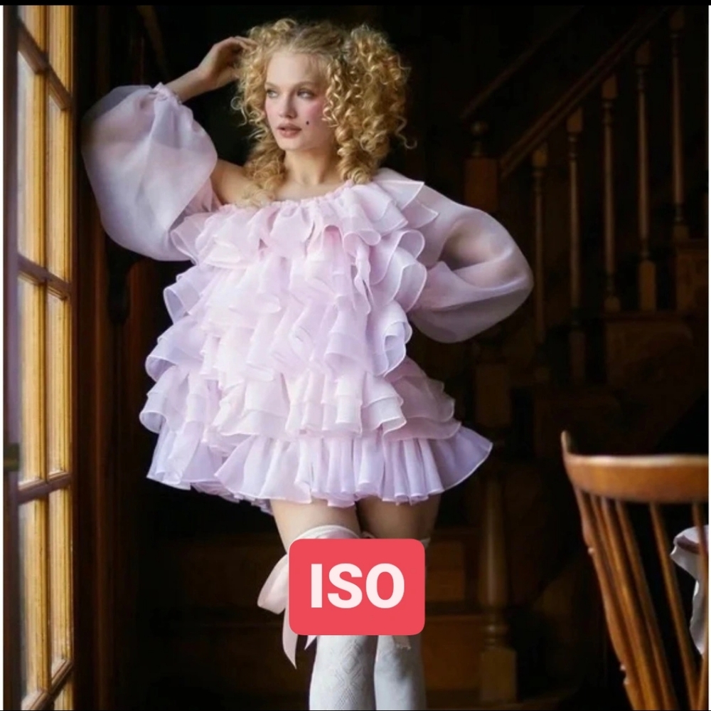 🌺 In Search Of 🌺 Selkie Loofah Dress Large XL 1X ISO Want To Buy WTB Looking